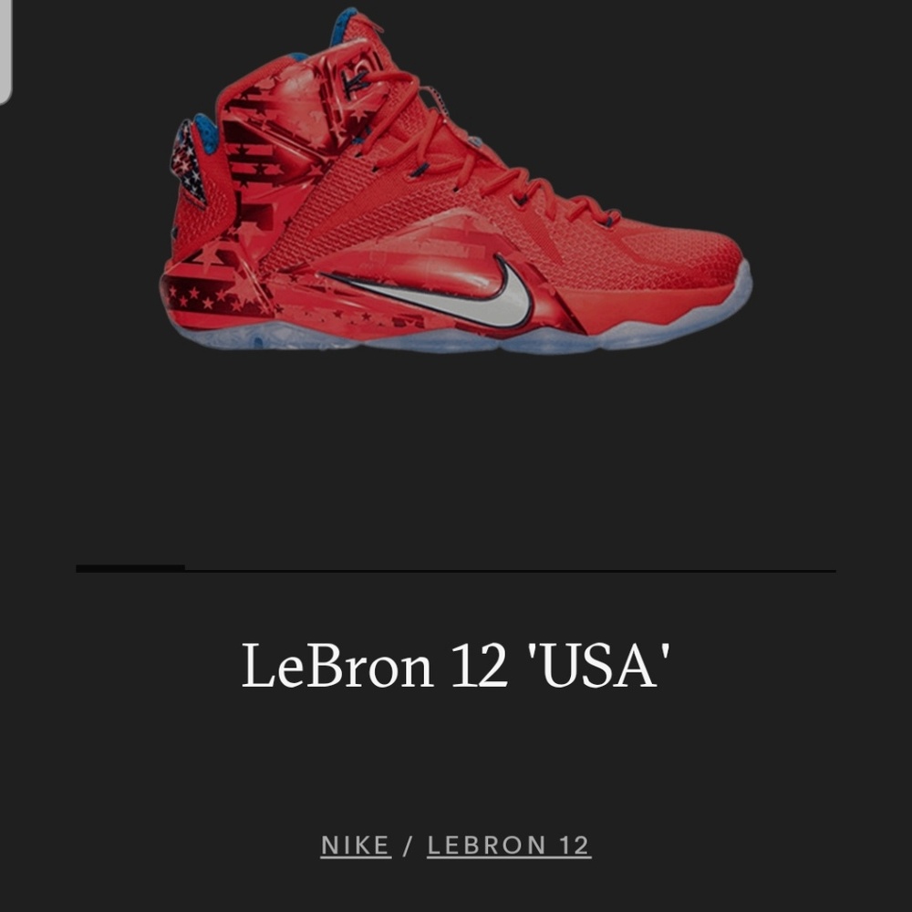 New with Box Lebron 12' sneakers size 8.5